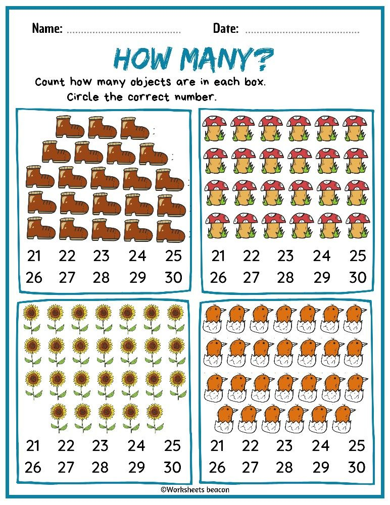 21 Counting And Circle Worksheet