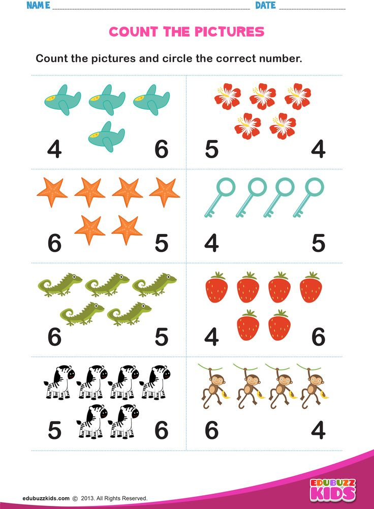 21 Counting And Circle Worksheet