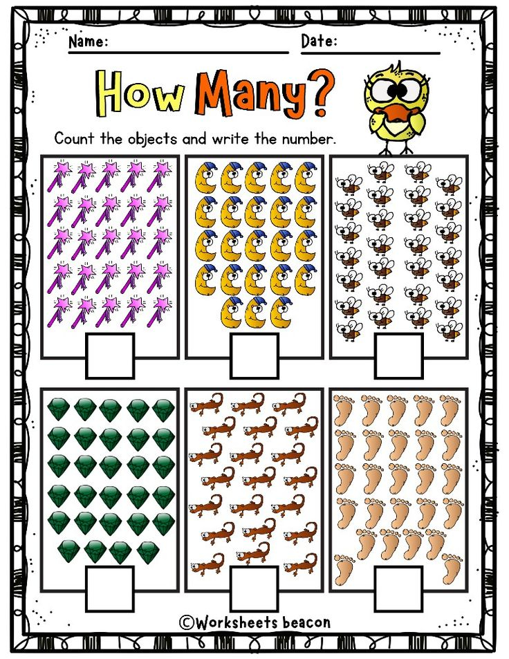 21 Counting And Circle Worksheet