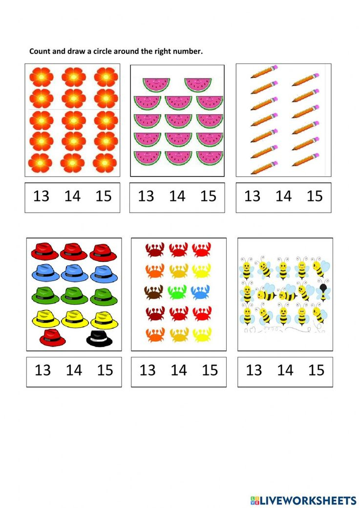 21 Counting Objects Worksheets For Kindergarten