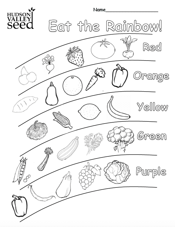 21 Healthy Food Worksheets Kindergarten