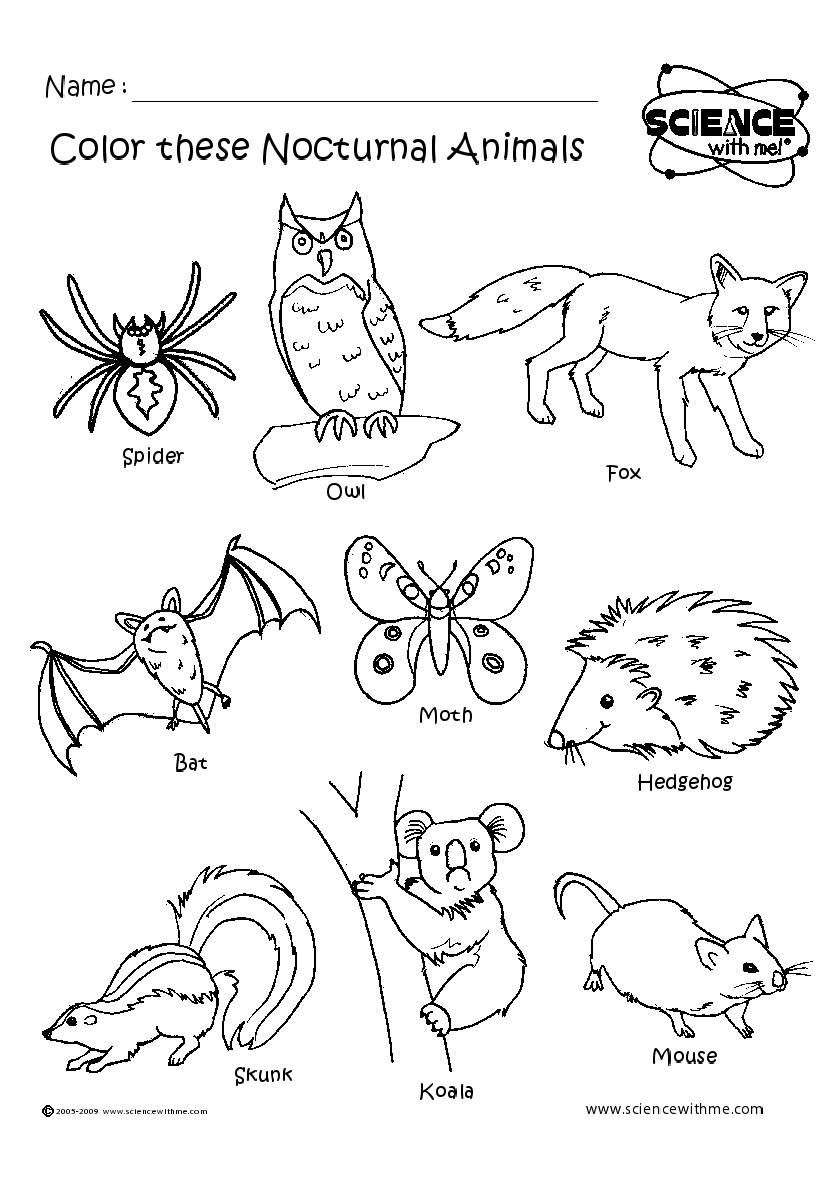 21 Worksheets For Kindergarten Day And Night