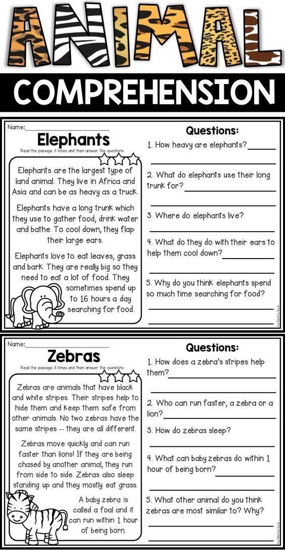 Animal Reading Comprehension