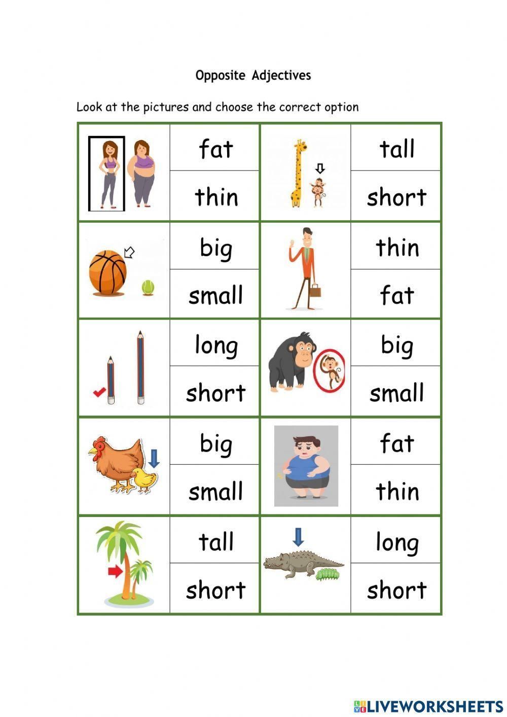 Opposite adjectives 1 worksheet