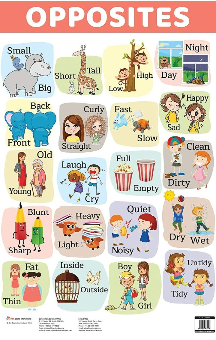 Opposite words for kids worksheet