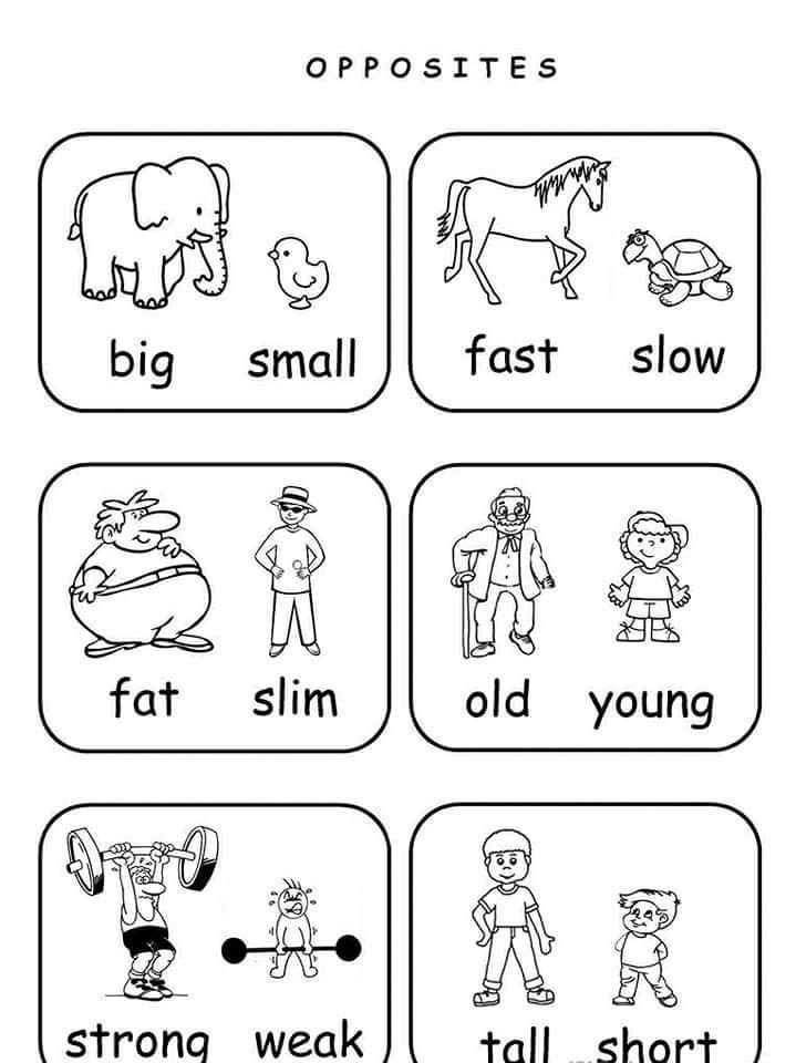 Opposite words for kids worksheet