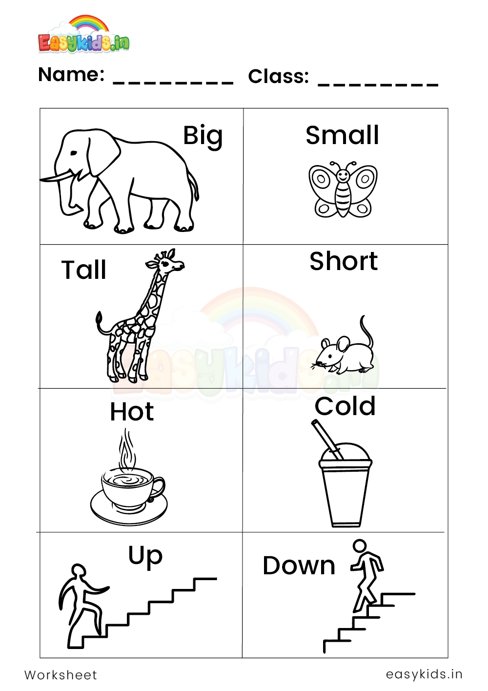 Opposite words worksheet