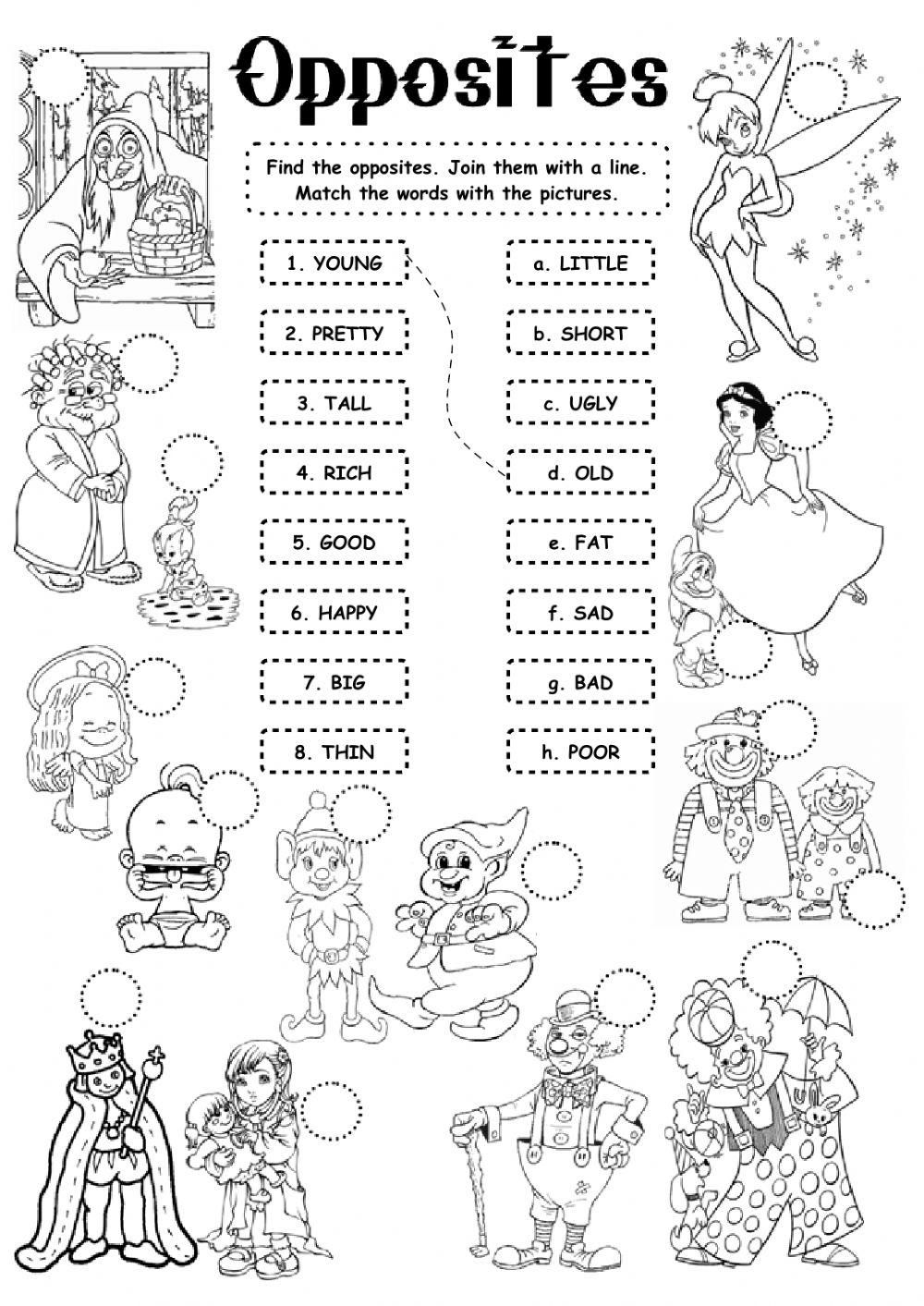 Opposites - Adjectives worksheet